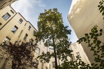 Exklusivauftrag | Top-Zustand: WGH im Akazienkiez - Hof (24321)